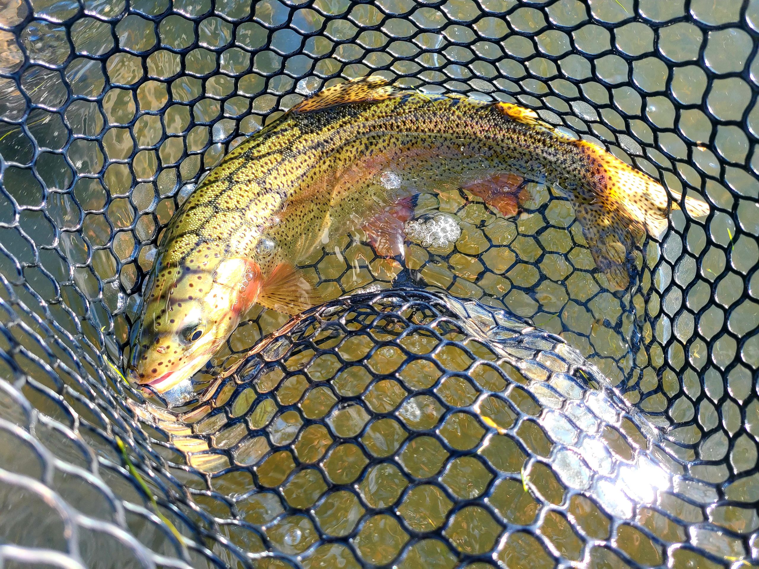 Tenkara Presentations: The Leisenring Lift - Zen Tenkara